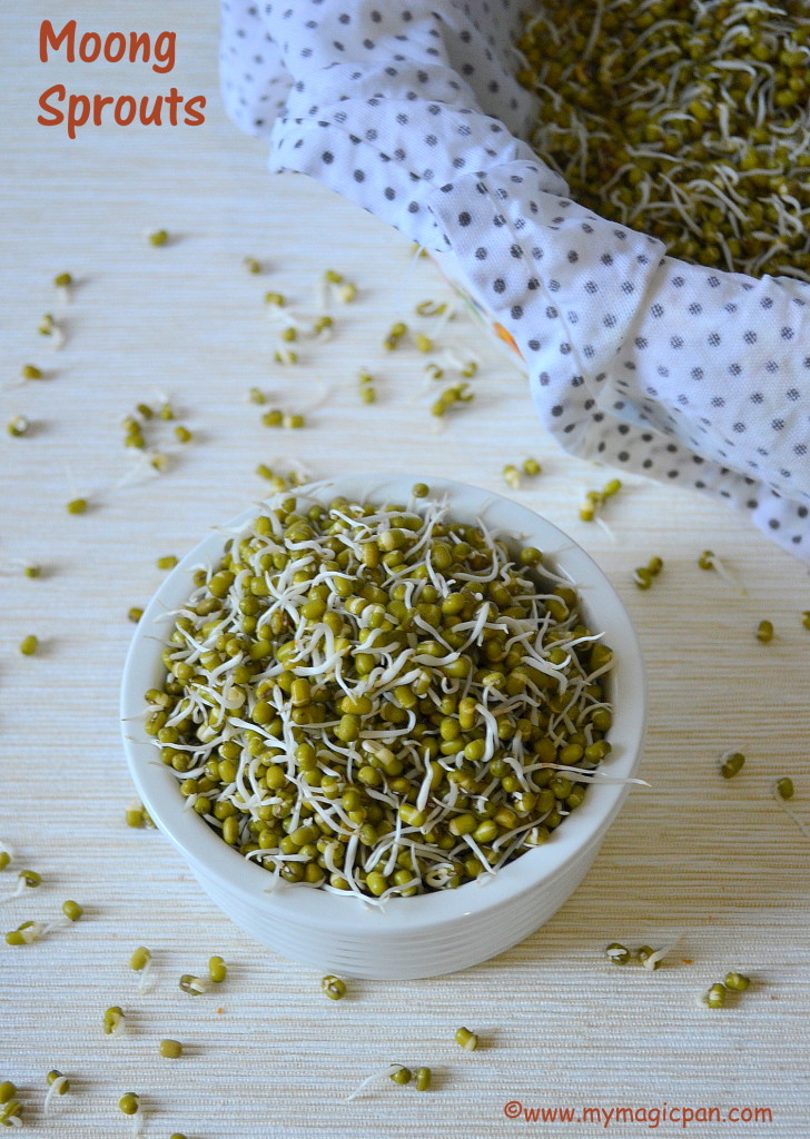 How to make Moong Sprouts My Magic Pan